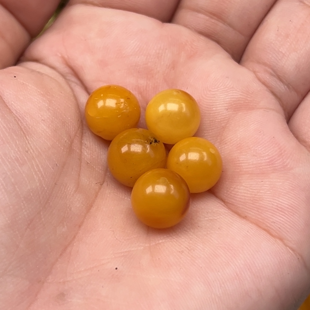 未镶嵌吊坠(不含链)琥珀多样性