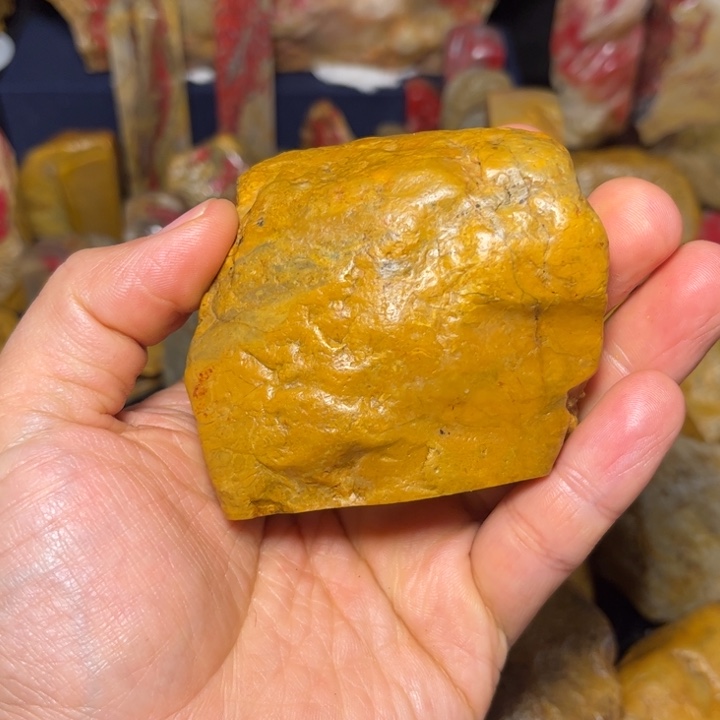 一***生昌化石国石昌化石