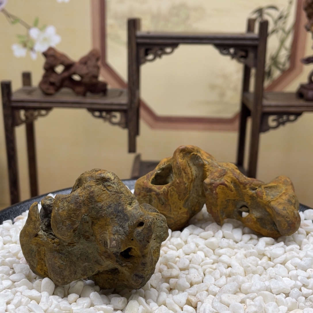 5*5/8*5苏州太湖水石一组