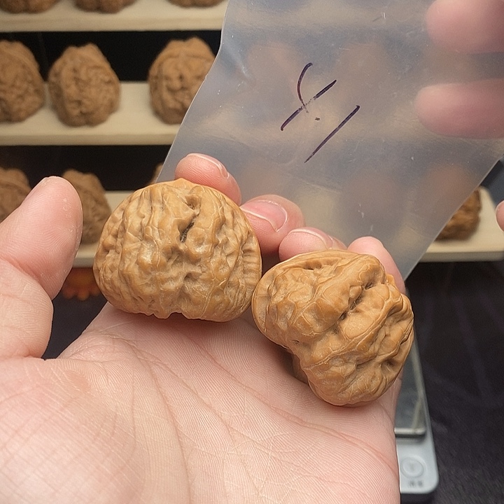 核桃蛤蟆头41边42肚