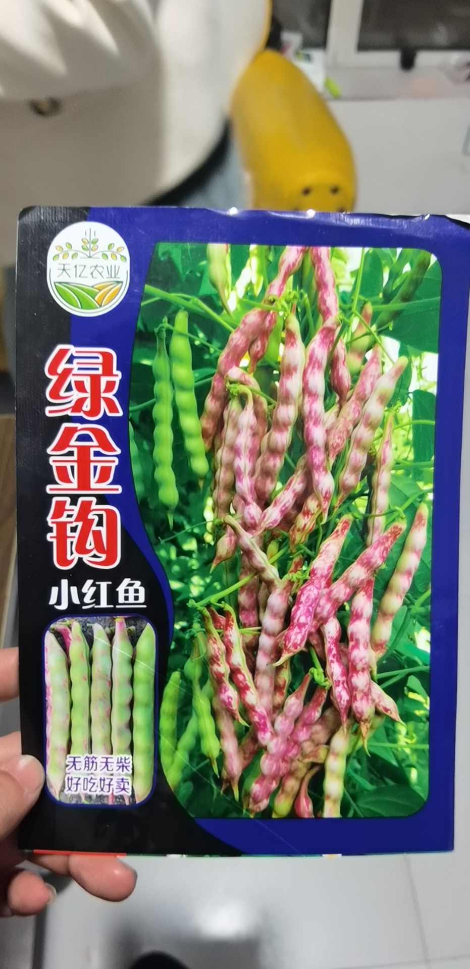 绿金钩面豆角种子