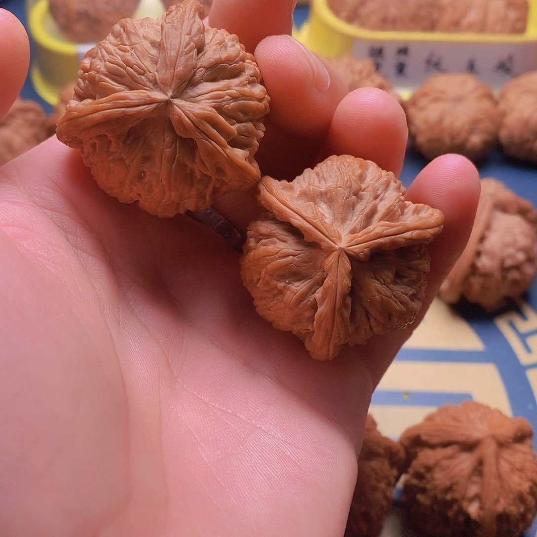 文玩核桃把件白奔