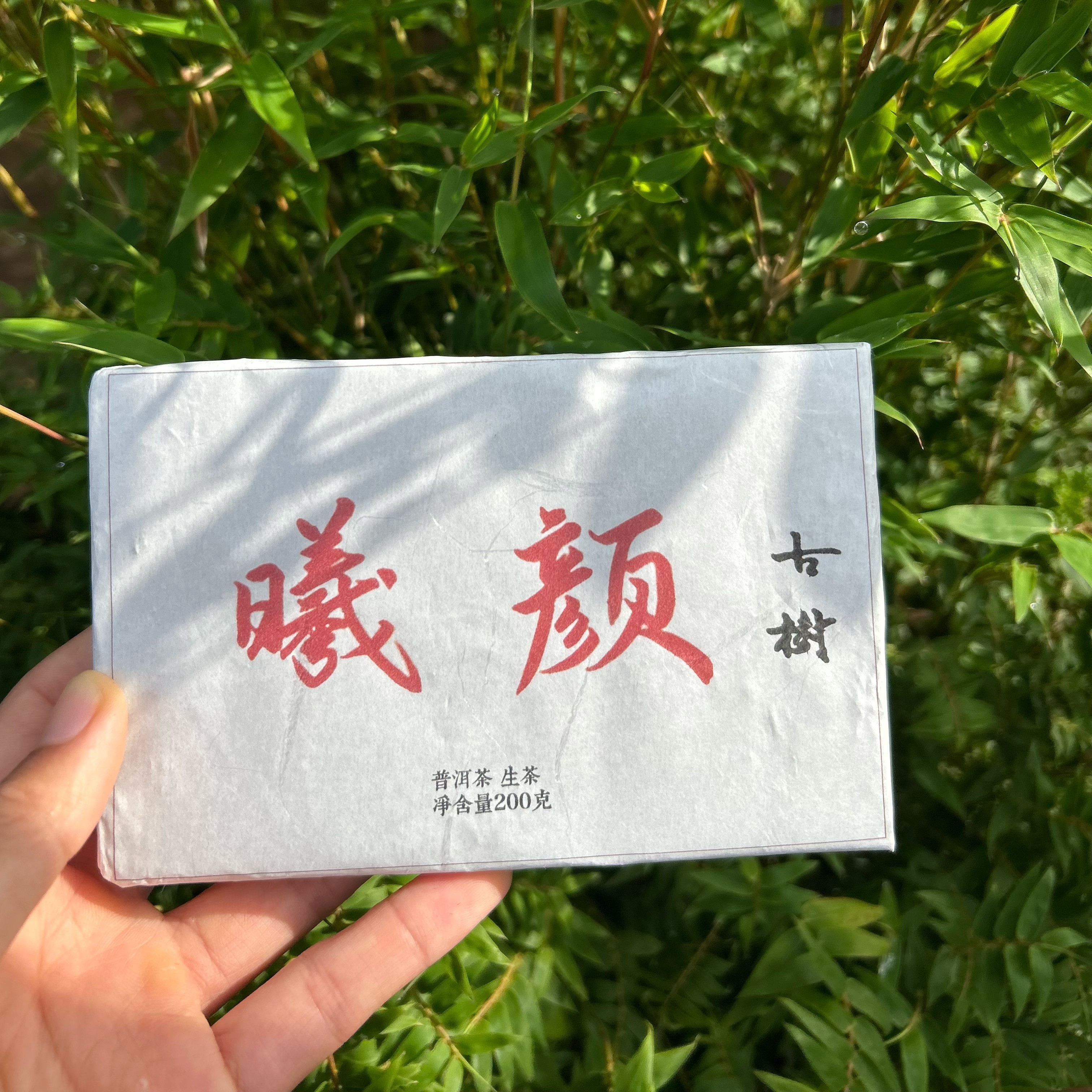 2025年曦颜古树200克古树砖