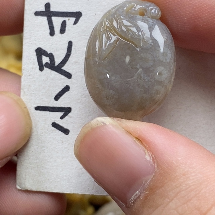 硅化珊瑚（珊瑚玉）未镶嵌颈饰