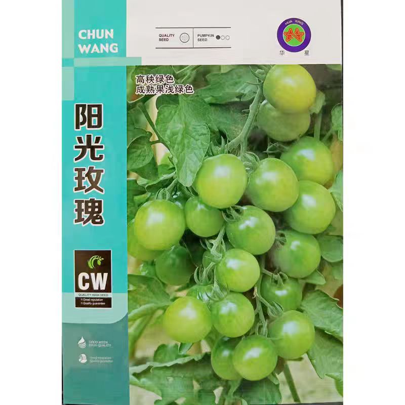 贼不偷绿色小番茄种子苗秧绿宝石樱桃西红柿种籽孑子春天圣女果苗