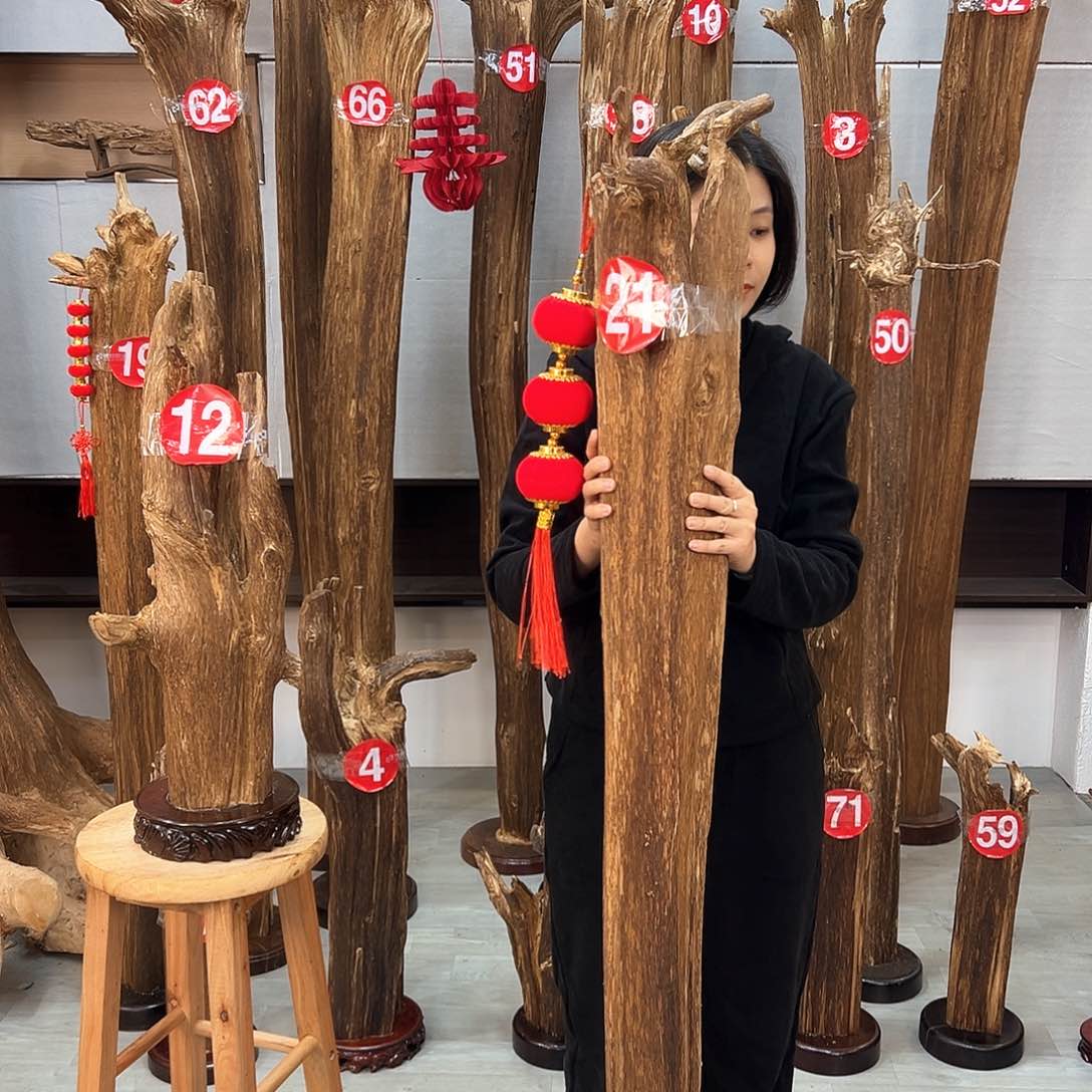 沉香摆件海南沉香摆件