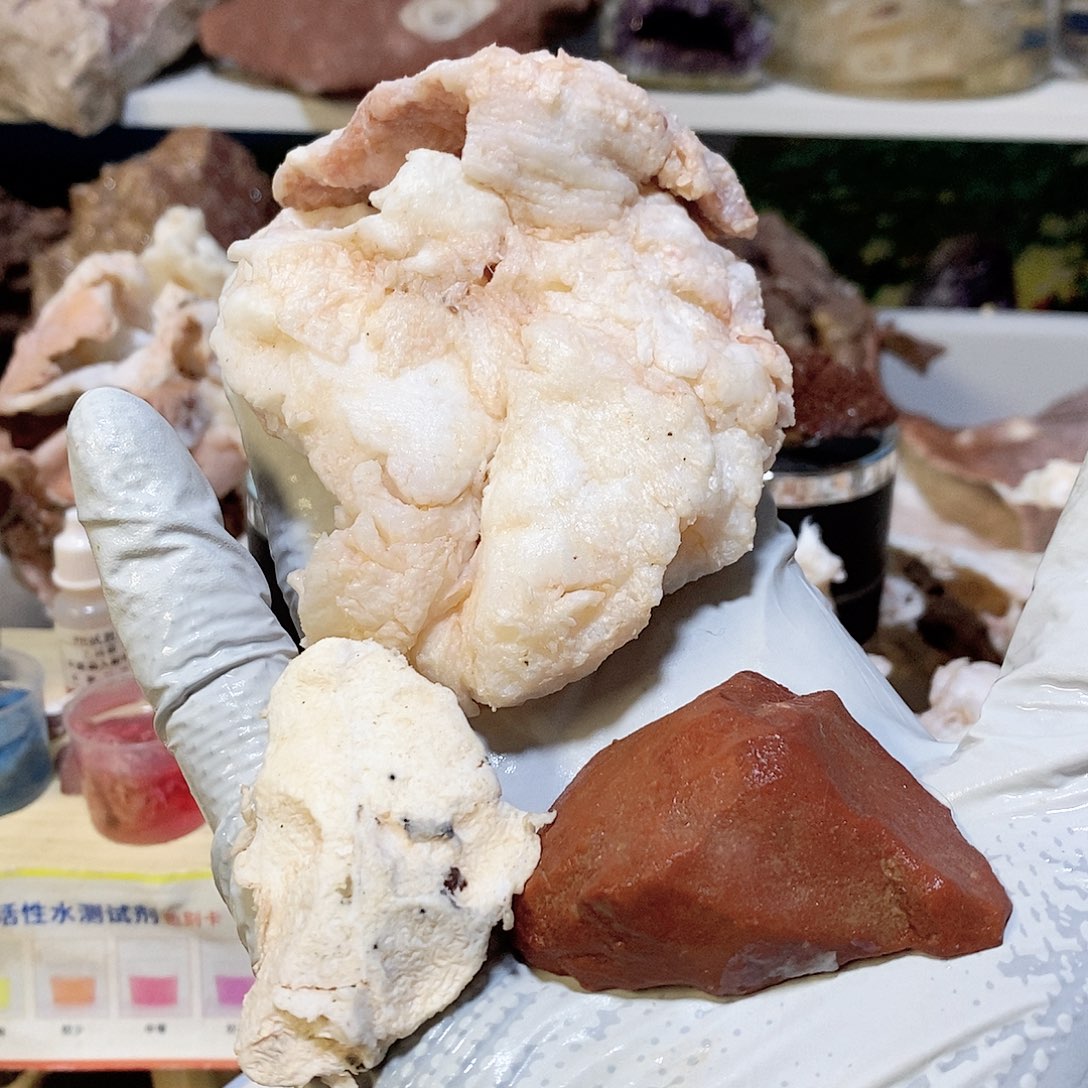 有机玻璃长白山石太岁肉灵芝