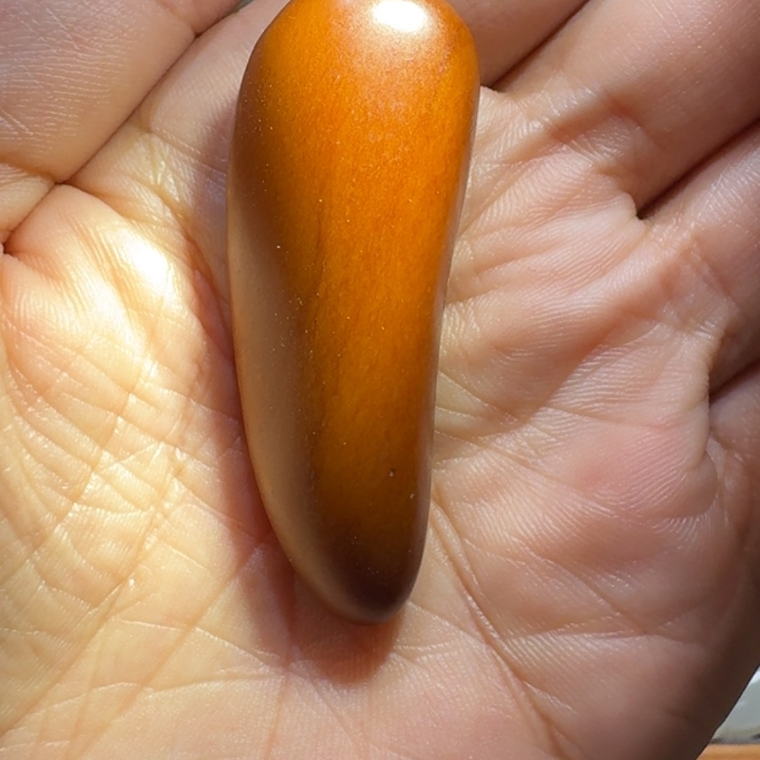 和田玉颈饰未镶嵌S****N