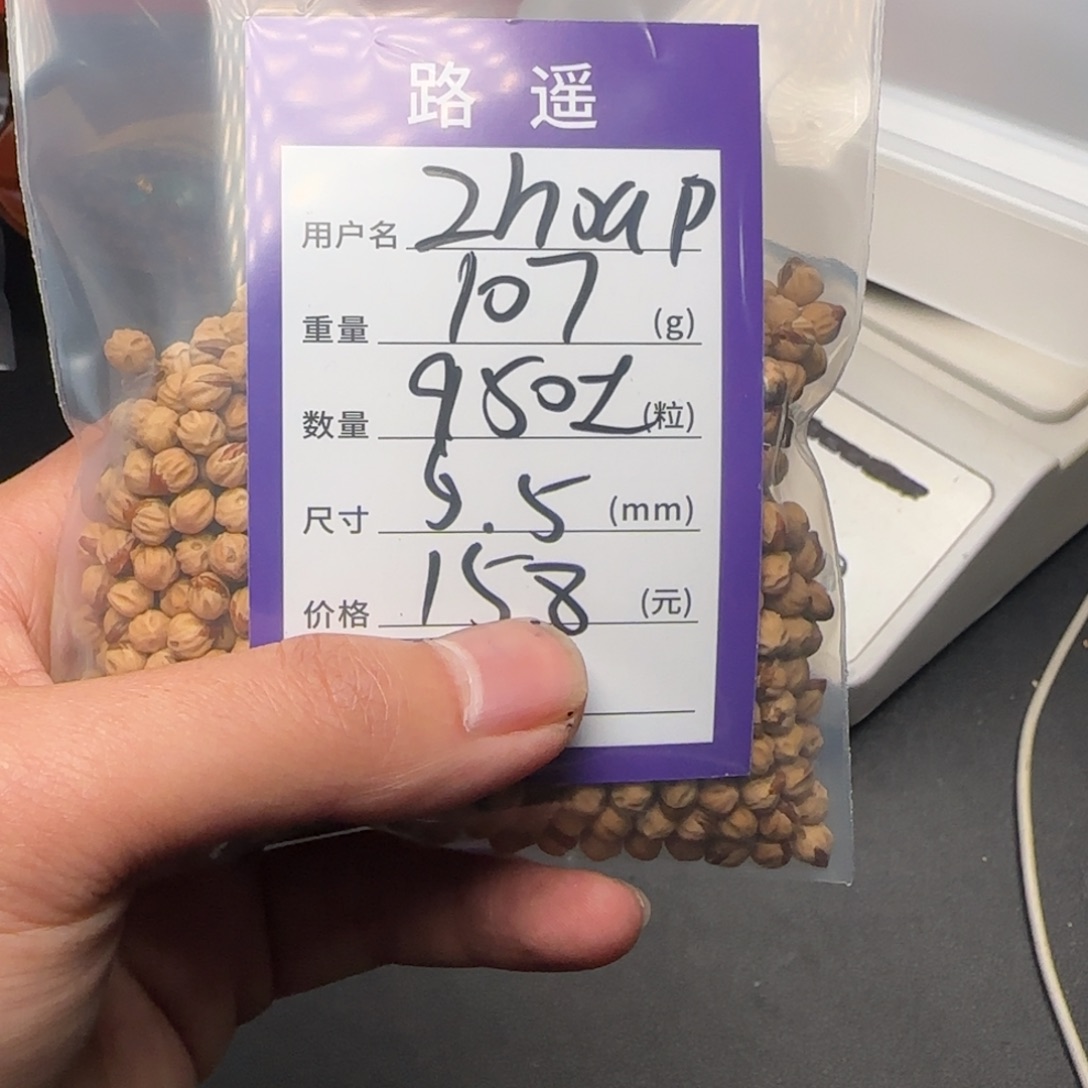 Z****柏香籽/百香籽吊坠