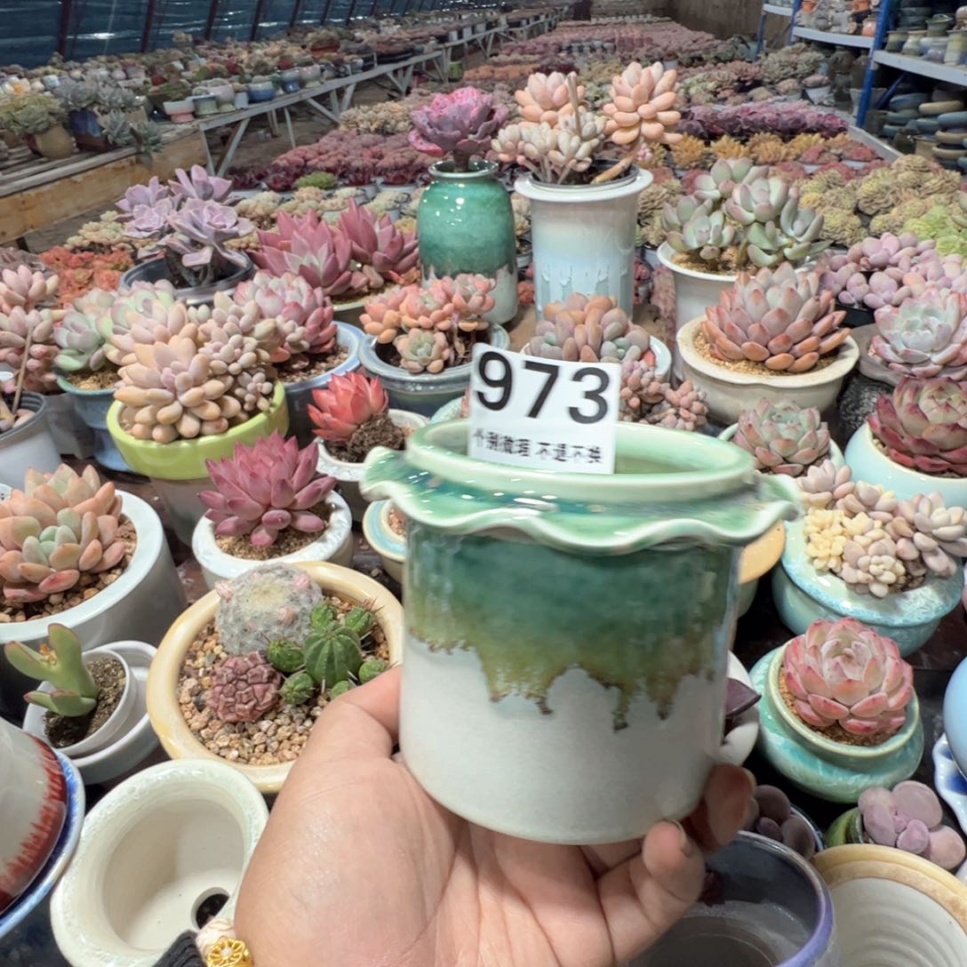 凑满50发货 内口8