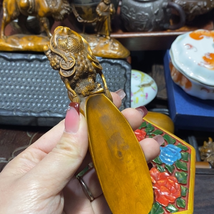 黄杨木木木木木木木木木木木