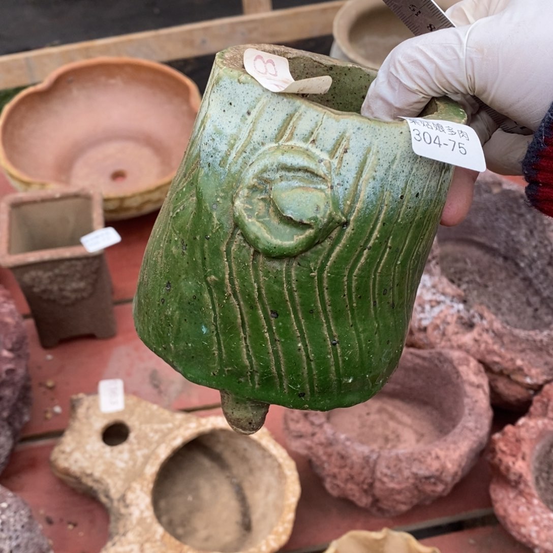 红陶往**烟75号多肉盆一个呀