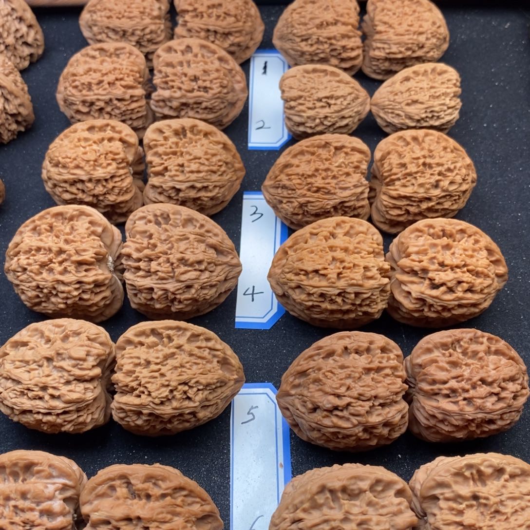 文玩核桃把件金**多