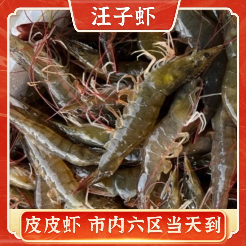 【杨八妹汪子虾】汪子虾 3斤  5斤 10斤 保鲜不保活