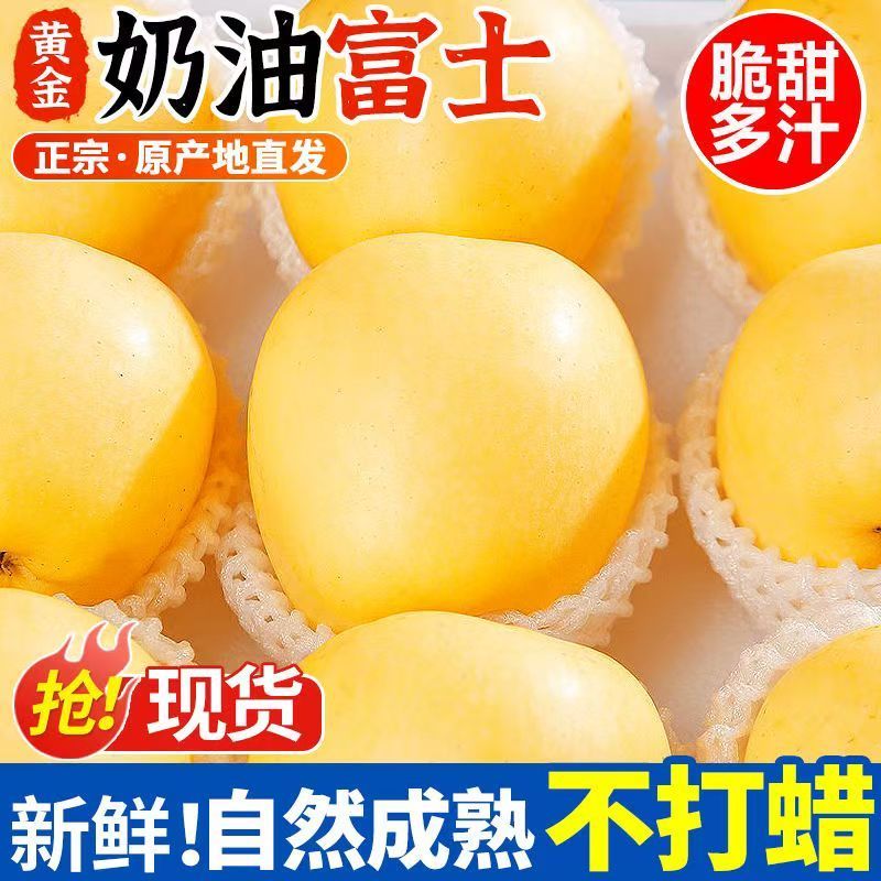 【5斤大果】正宗山东烟台栖霞奶油富士苹果脆甜应季水果原产地直发