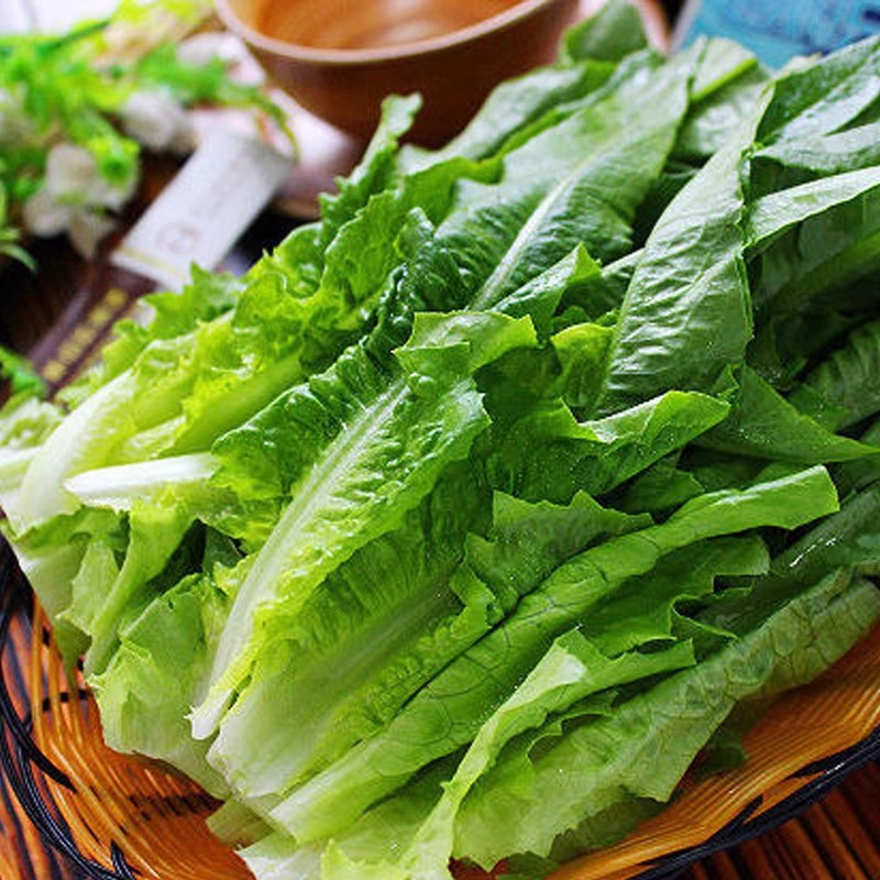 油麦菜          