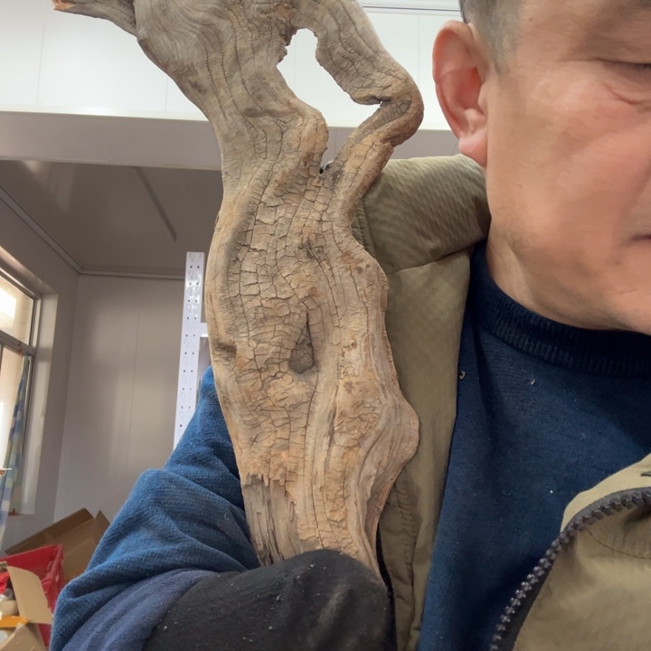 线香太行崖柏板根香料