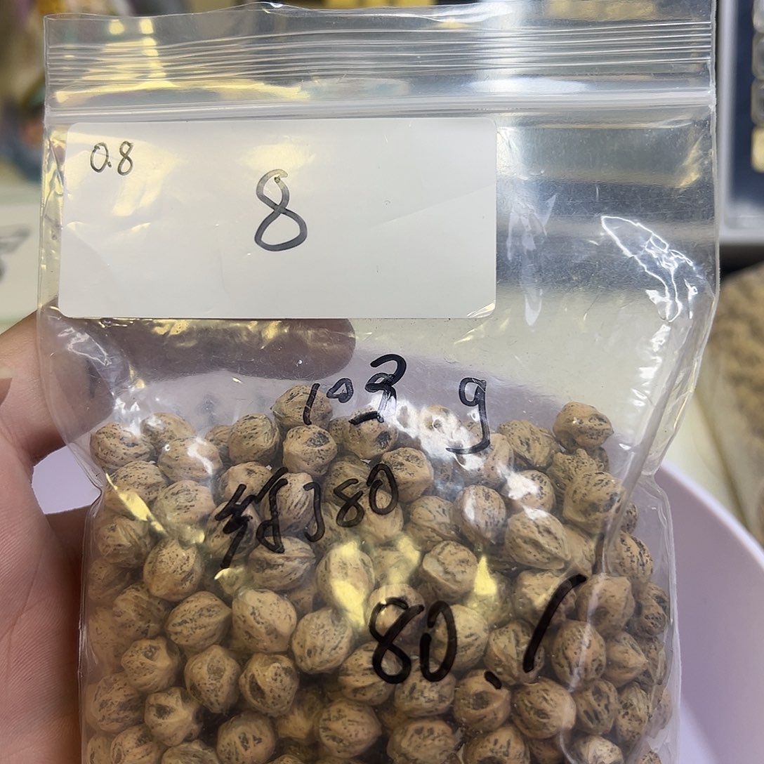 山***君柏香籽/百香籽吊坠