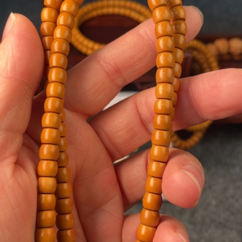 橄榄橄榄橄榄橄榄橄榄