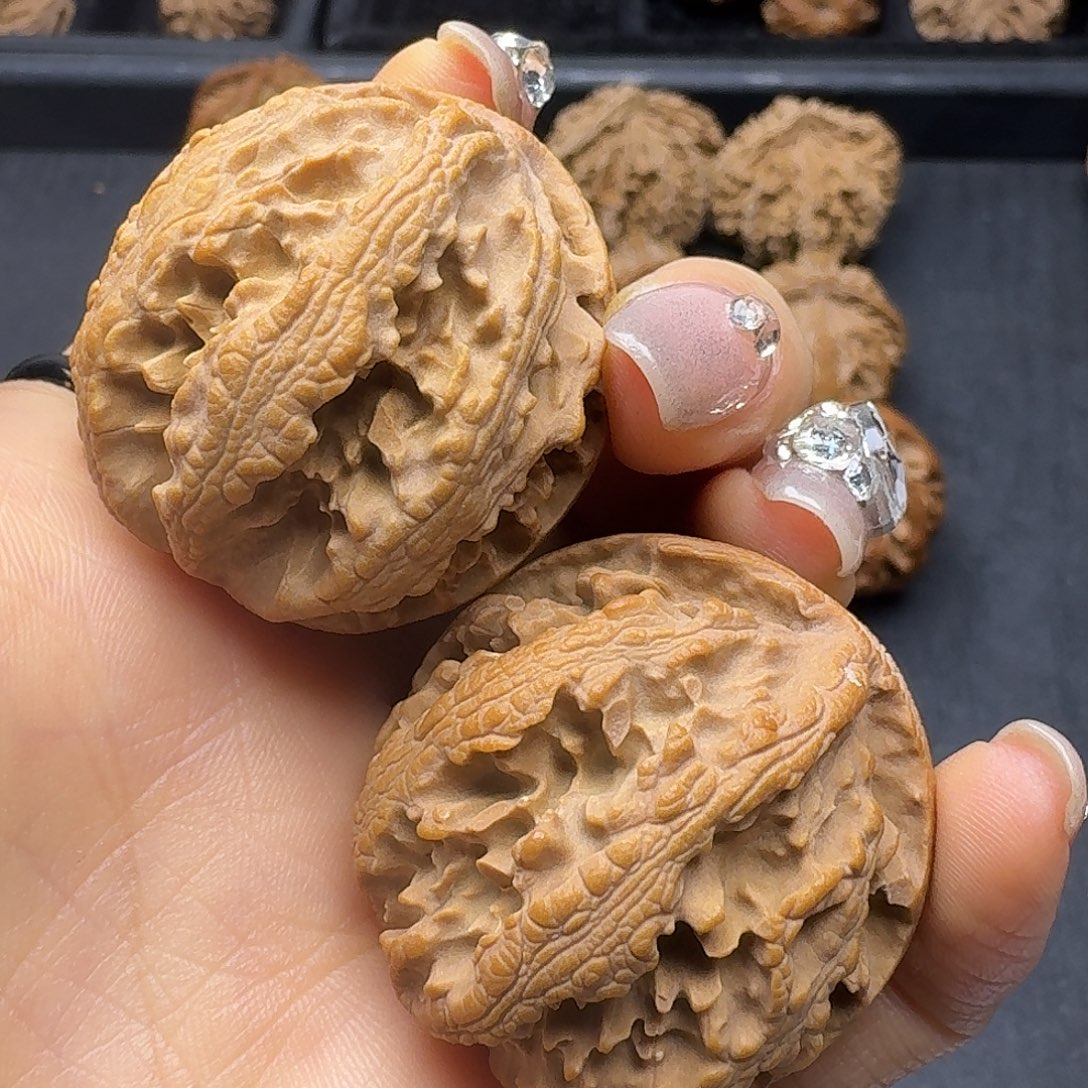 桃木突突突突突突突