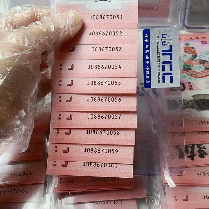 塑料蛇钞标十088670051中国梦无4