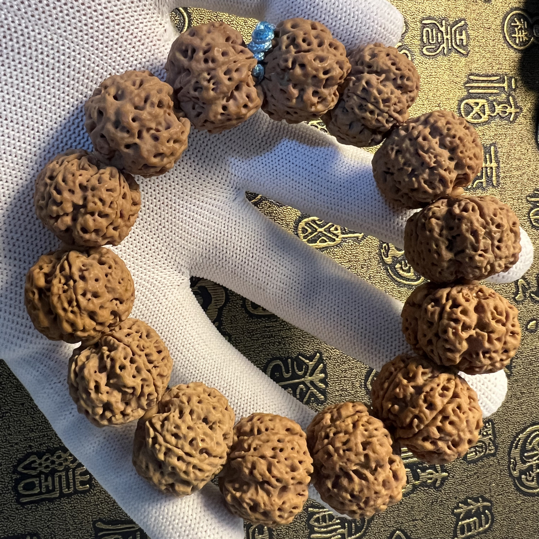 五瓣爆肉双龙纹瓣线分明大金刚菩提