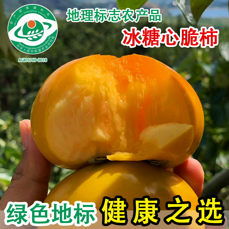 桂林恭城脆柿冰糖心脆柿新鲜现摘果园直发脆甜口感不涩 不麻