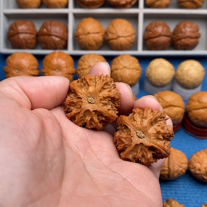 刀***仔文玩核桃把件花王