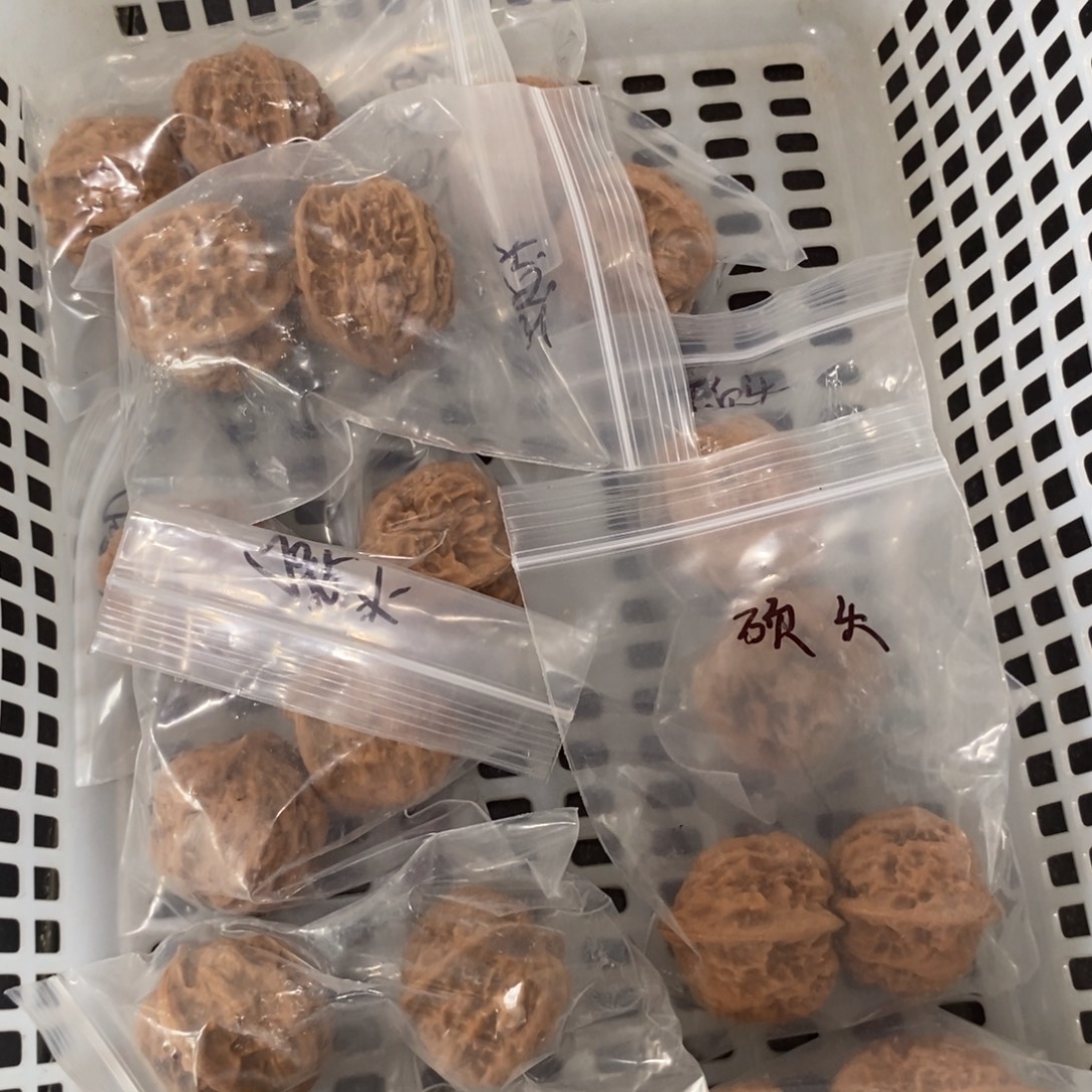 L***L文玩核桃吊坠硕头9对