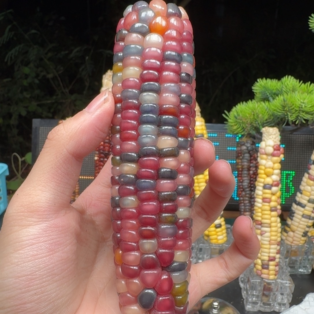 爱***2大叶紫檀（黑酸枝木类）