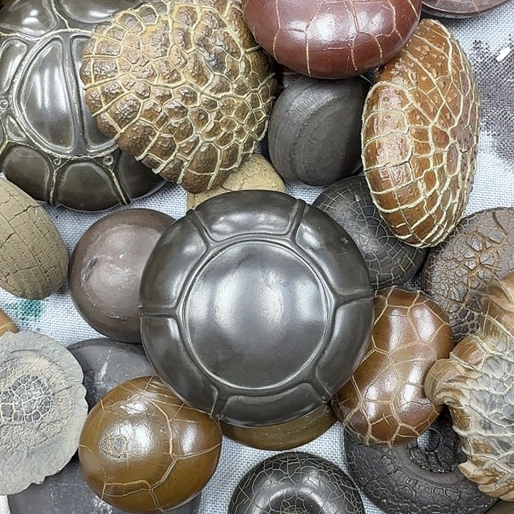 血***鹉石材龟纹石，玲珑石