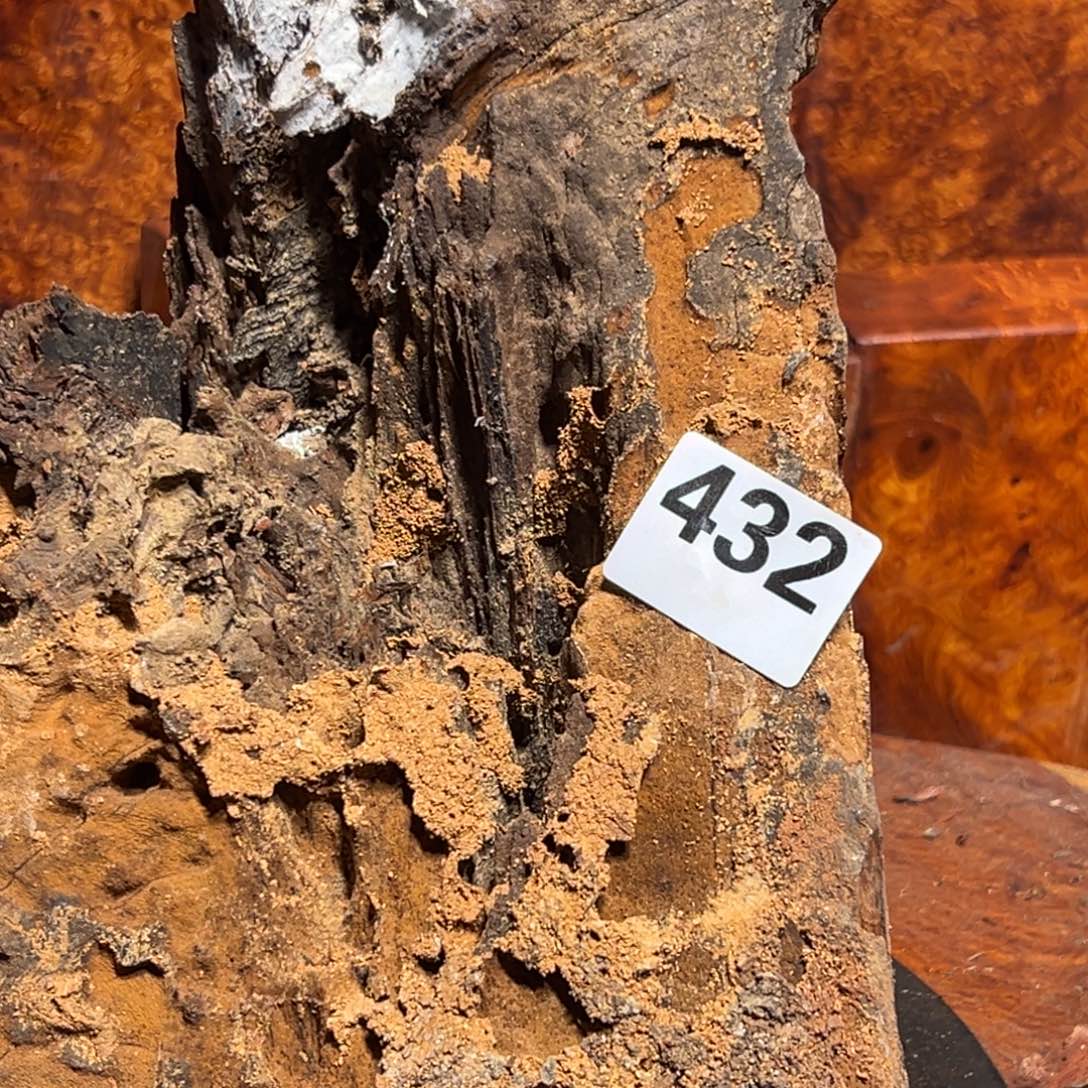 *****大果紫檀（缅甸花梨）