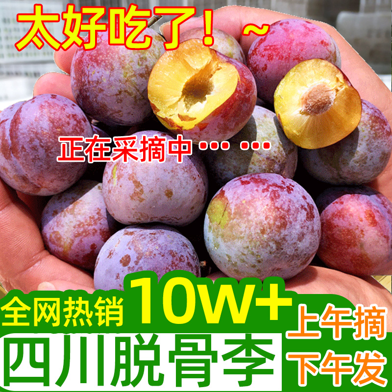 四川脆红李子高山李脱骨李青红当季新鲜水果1/3/5斤