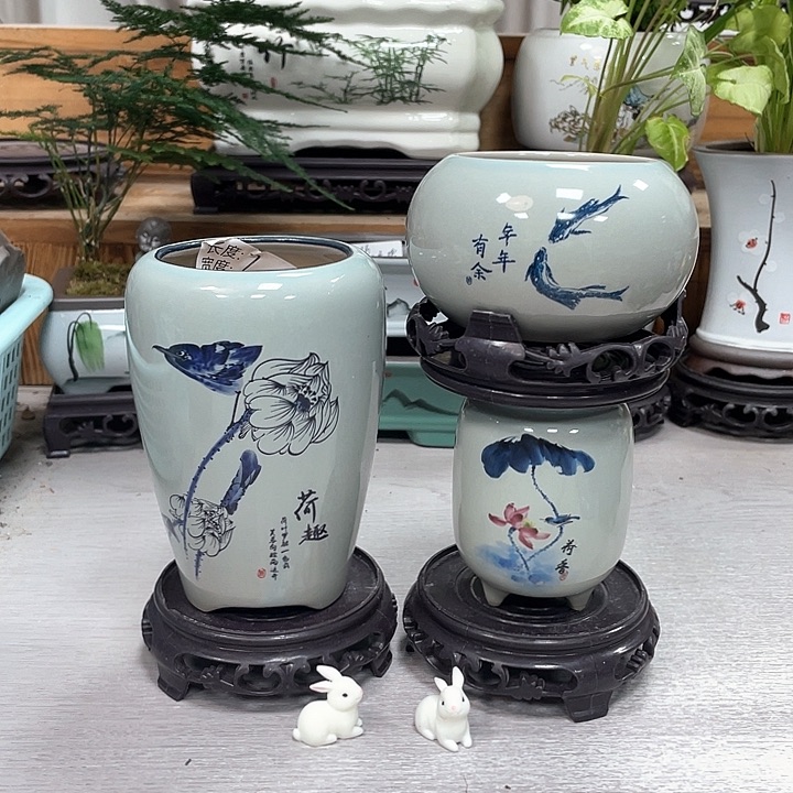 陶瓷花盆双11抢购福利