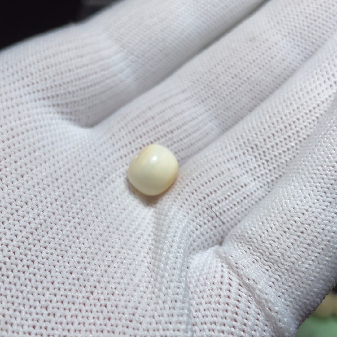 L***H橄榄核手串/手链w2