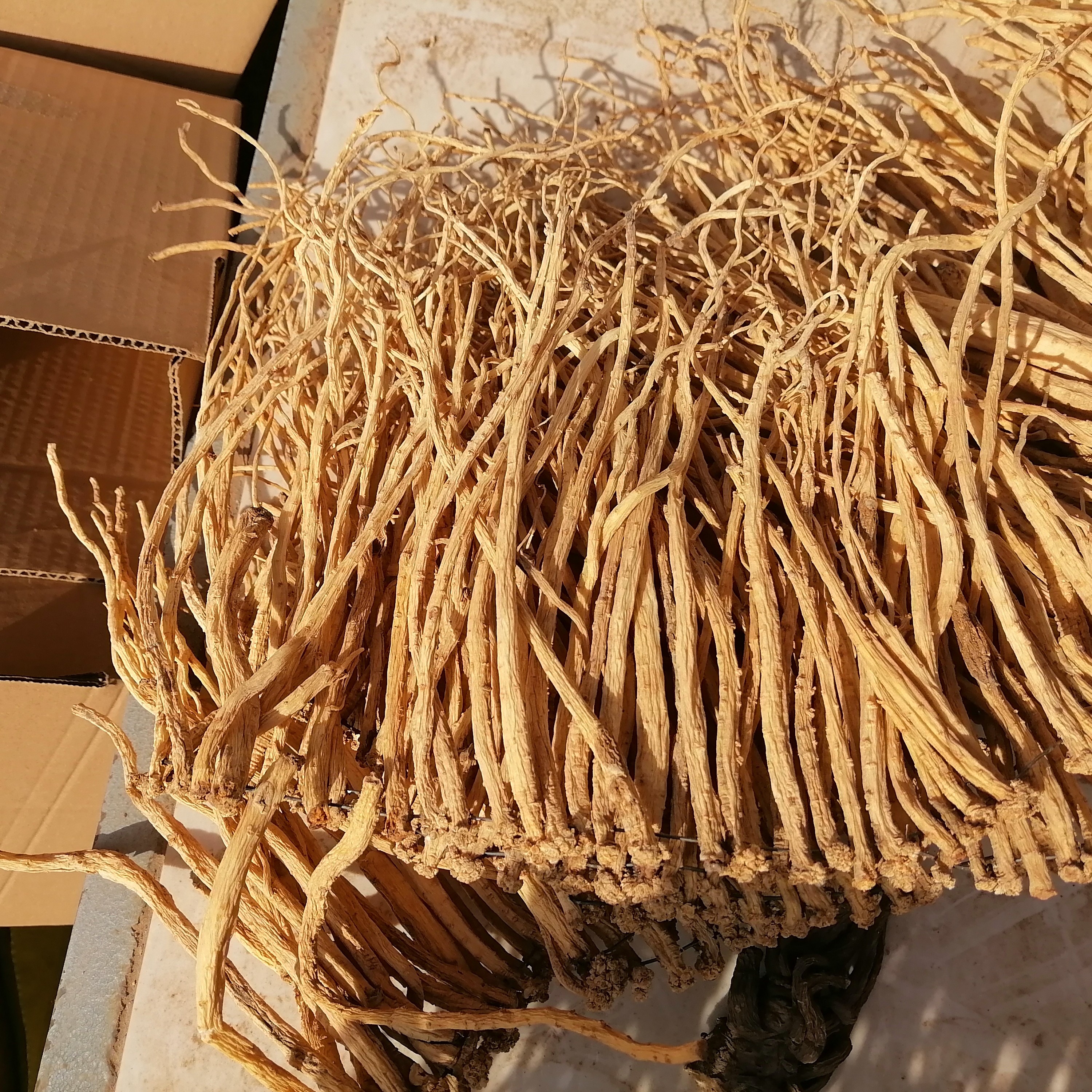 7#甘肃岷县农民种植无硫党参特小条泡汤泡水滋补