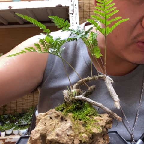 红陶一物一拍所见即所得84