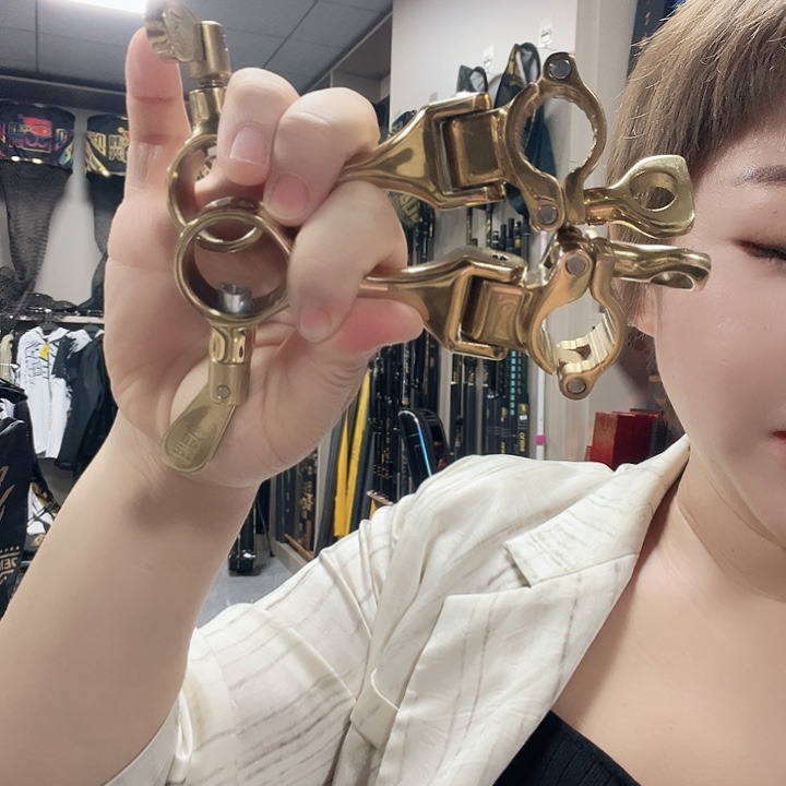 黑坑上岸金色伞架一套