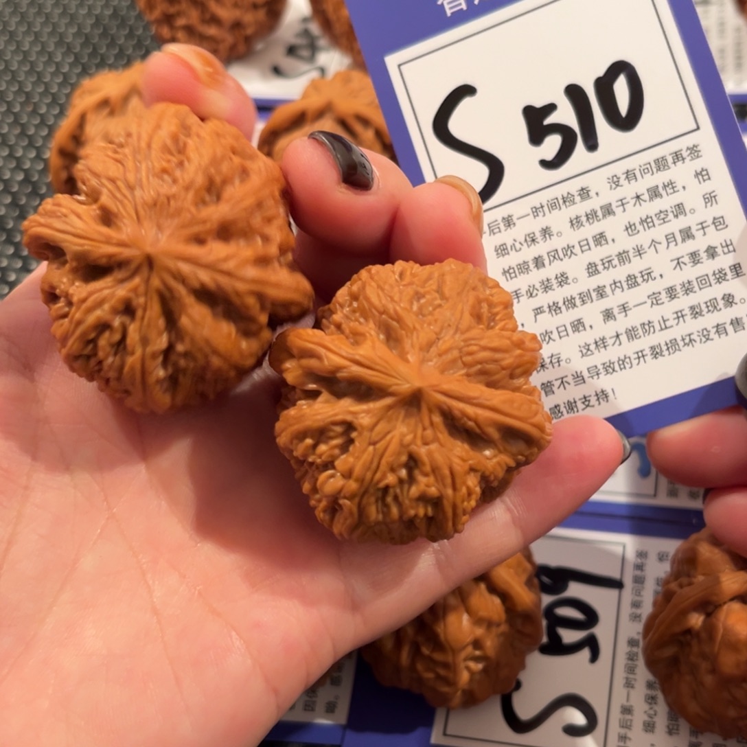 核桃S510号粗筋43尺