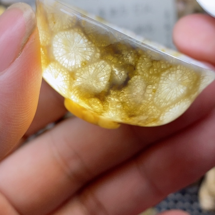 颈饰未镶嵌硅化珊瑚（珊瑚玉）有瑕