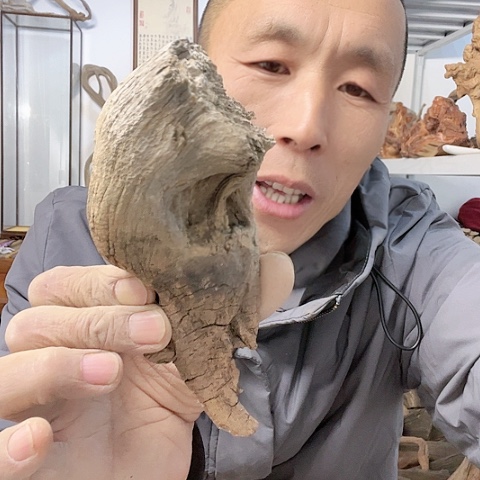 【闪购商品】柏木（崖柏）2