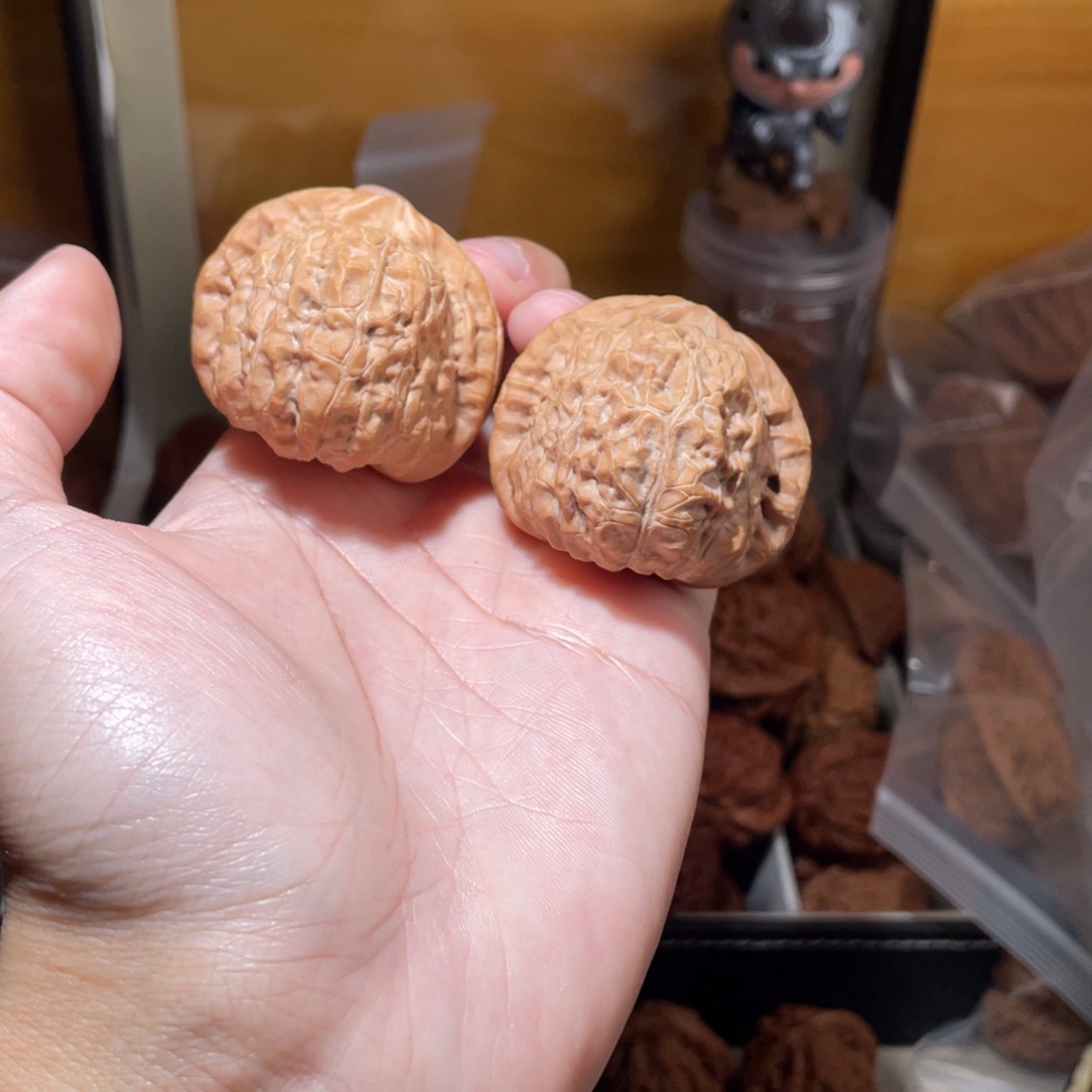 44尺寸全品无修南瓜