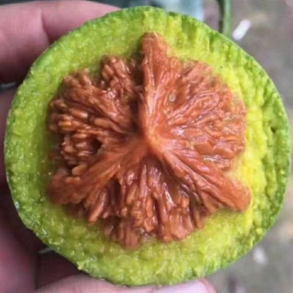 文玩核桃三棱四棱