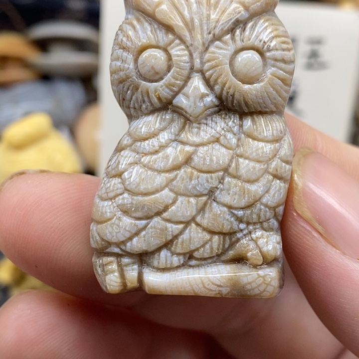 硅化珊瑚（珊瑚玉）未镶嵌颈饰