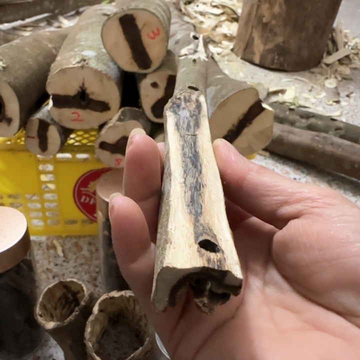 沉香沉香碎屑奇楠原木节张勺子