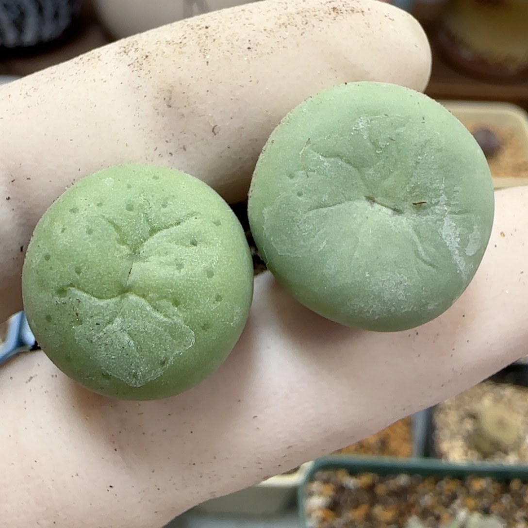 507福利福利福利