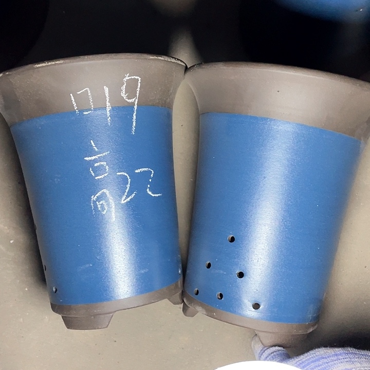 红陶紫砂紫砂紫砂