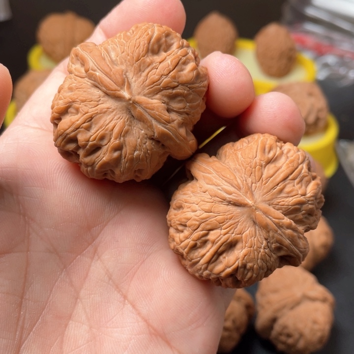 德****）核农文玩核桃元宝水尖