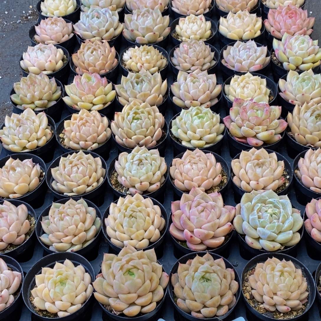 晴**月765的人和我一起看电影