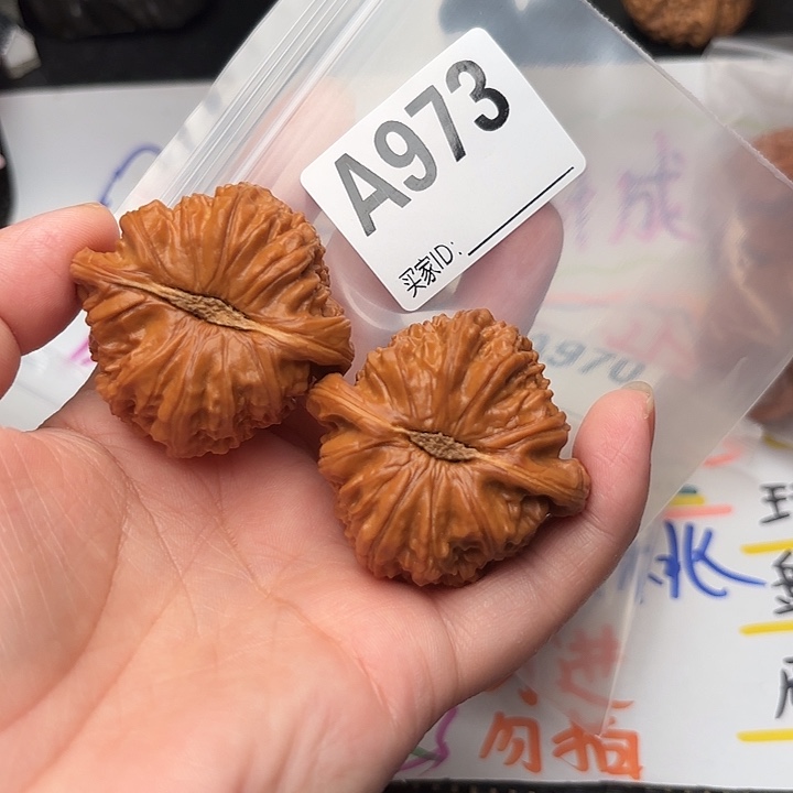 把件桃核核桃白狮子44